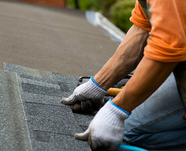 Best Shingle Roofing Installation  in Terre Hill, PA